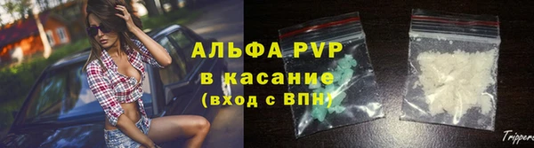 бошки Ладушкин