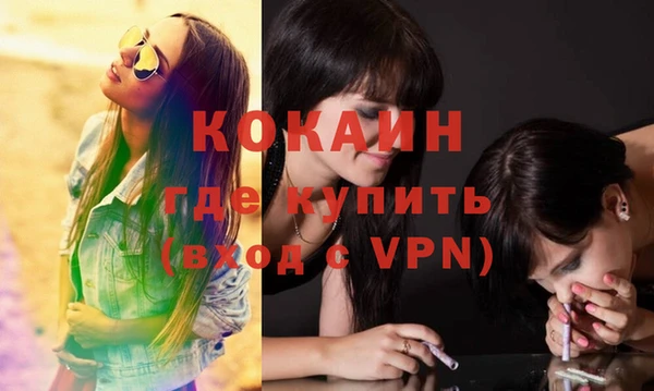 шишки Краснотурьинск