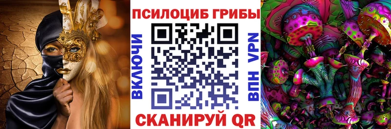 Псилоцибиновые грибы прущие грибы  Котлас 